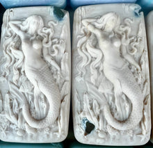 Load image into Gallery viewer, Northwoods Hidden Sea Glass Salt Brine Soap
