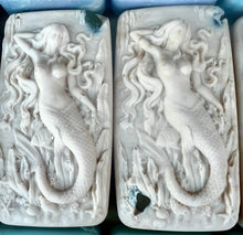 Load image into Gallery viewer, Northwoods Hidden Sea Glass Salt Brine Soap